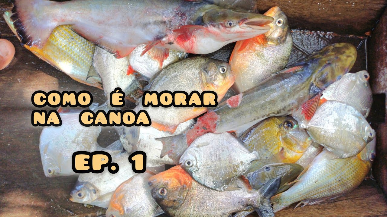 COMO  É  MORAR  NA  CANOA   -  uma semana em local bom de peixes