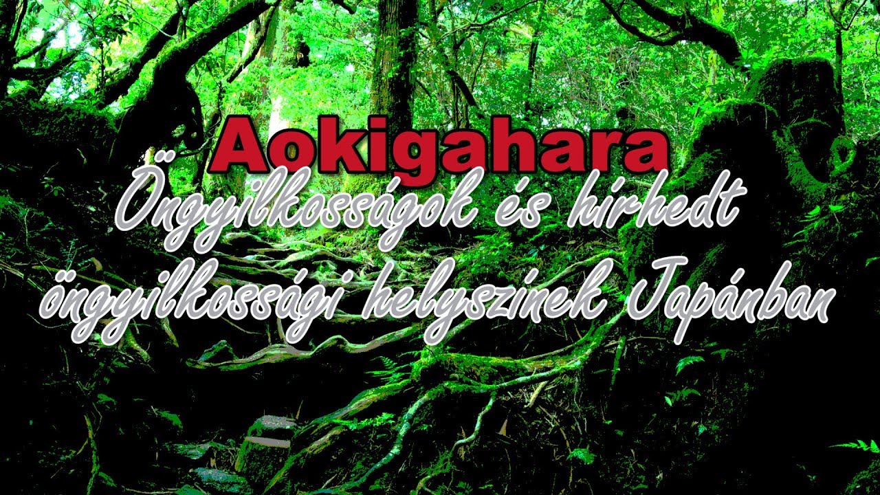 Aokigahara - &Ouml;ngyilkoss&aacute;gok &eacute;s h&iacute;rhedt helysz&iacute;nek Jap&aacute;nban