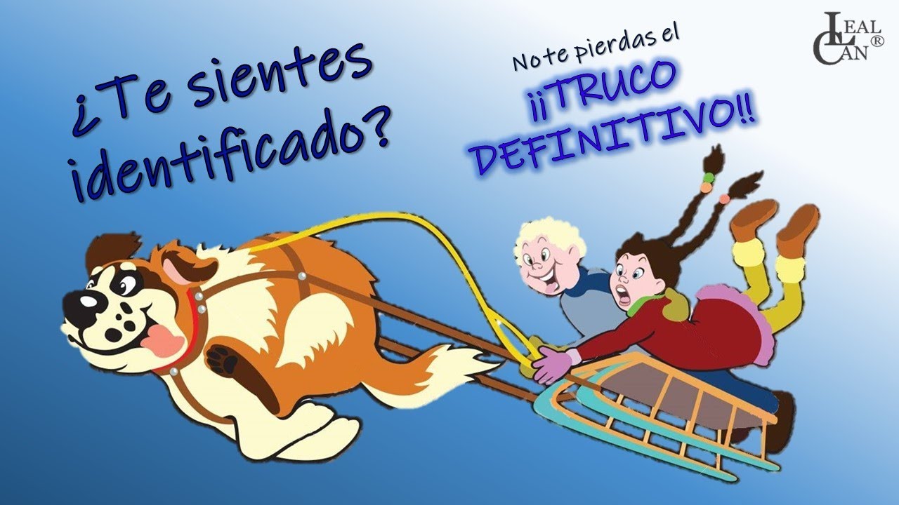 El truco definitivo más efectivo✅ 💥 💯 : enseña a tu PERRO a NO TIRAR DE LA CORREA | LealCan