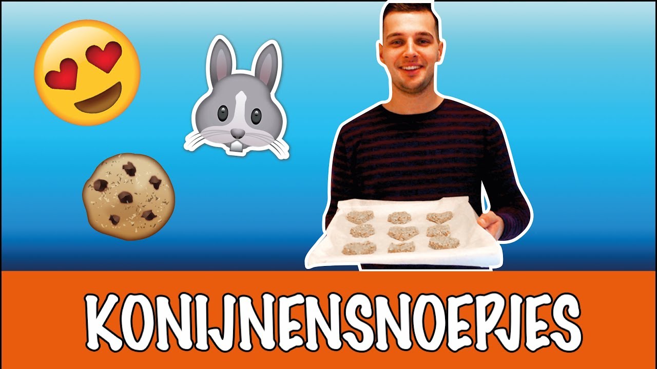 Konijnensnoepjes bakken met Richard! | DierenpraatTV