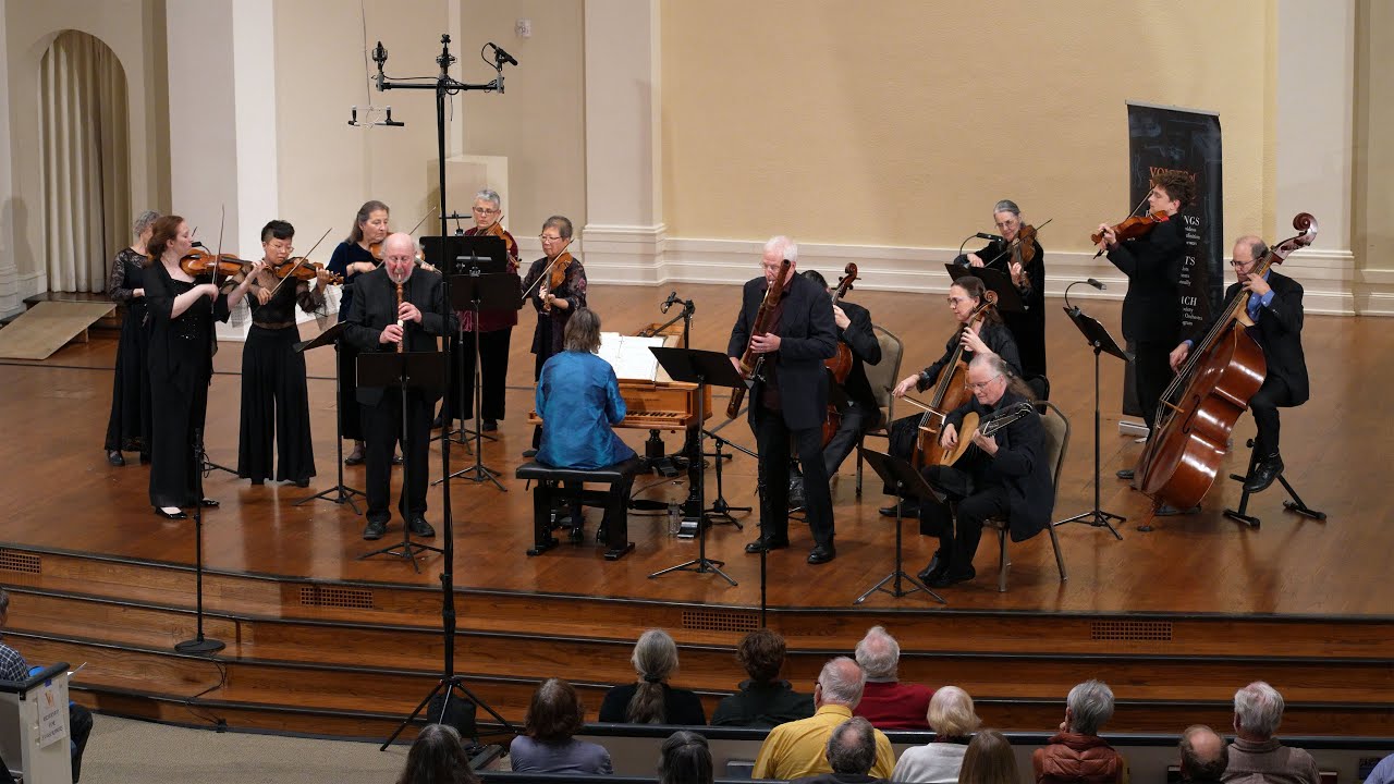 Vivaldi: Concerto for Oboe and Bassoon in G Major RV 545. I. Andante Molto. Voices of Music 8K