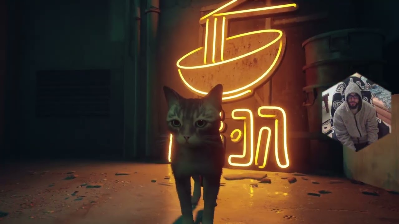 PsiloSage Streams: Stray (11/21/2025)