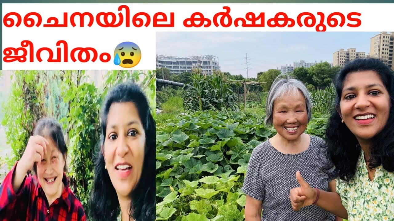 ചൈനയിലെ സാധാരണക്കാരായ കൃഷിക്കാരുടെ ജീവിതം കാണാനോ 😭# VILLAGE LIFE IN CHINA