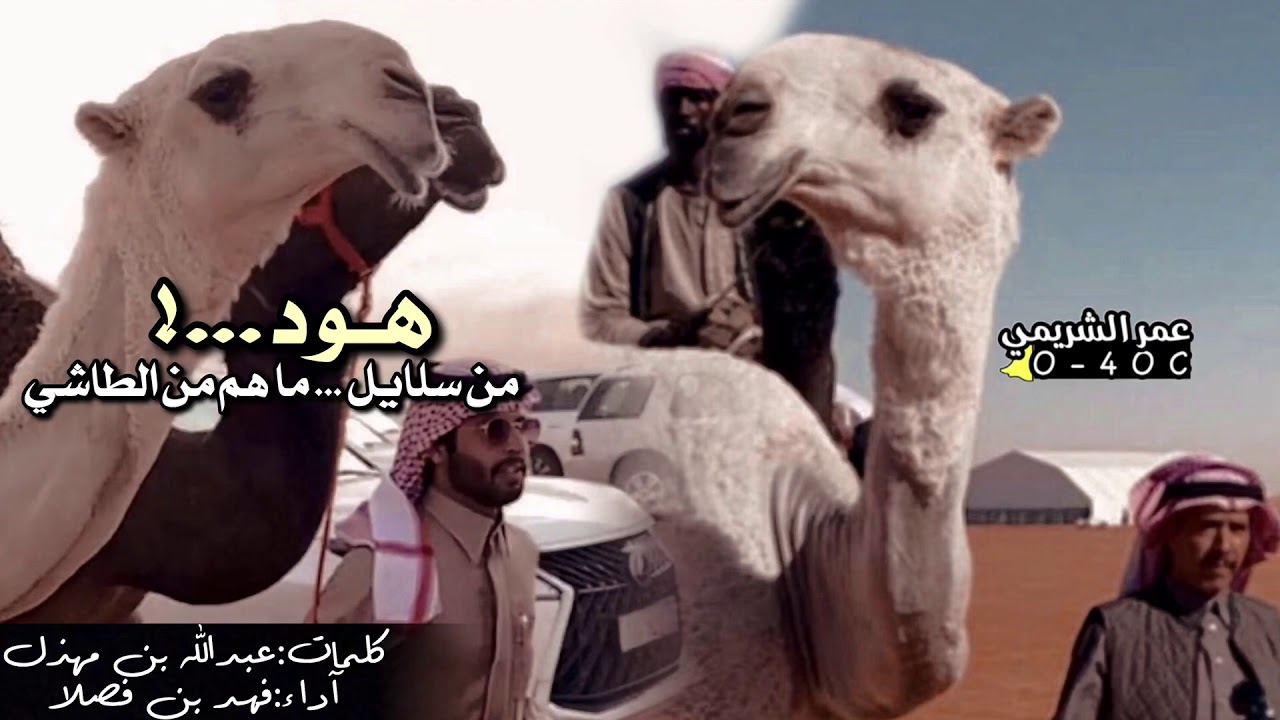 ضايمات ابن ظبيه🔥🥇. |كلمات:عبدالله ابن مهذل. اداء:فهد ابن فصلا