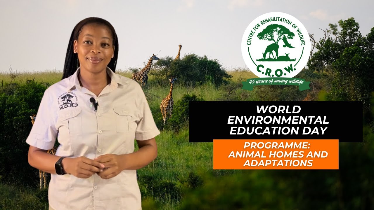 World Environmental Education Day | Day 4 🌍