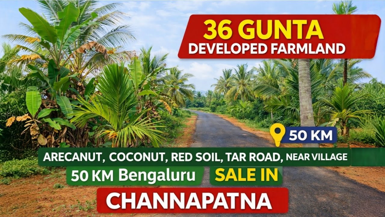 36 ಗುಂಟೆ ಅಡಿಕೆ ತೆಂಗಿನ ತೋಟ ಮಾರಾಟಕ್ಕಿದೆ, 50 Km ಬೆಂಗಳೂರು. 7338474634.