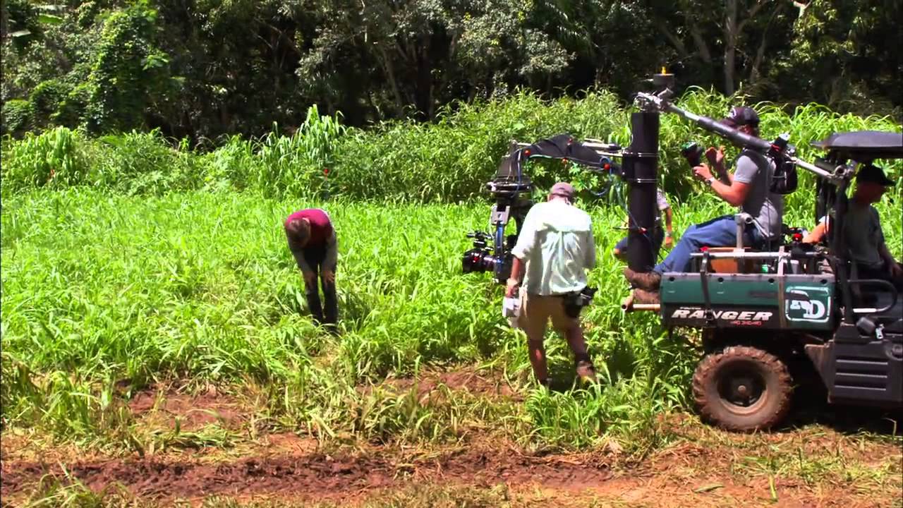 JURASSIC WORLD DVD/Blu-Ray - Ty Simpkins and Nick Robinson