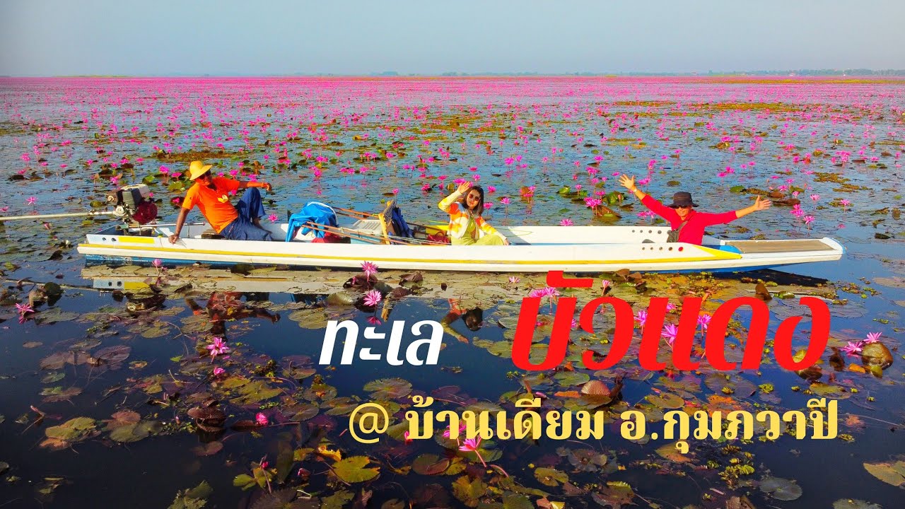 EP.114 ทะเลบัวแดง @บ้านเดียม อ.กุมภวาปี จ.อุดรฯ อัพเดท 13 ธ.ค. 2563