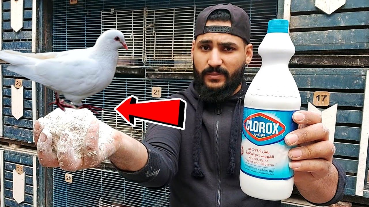 أهم من الكلفة للحمام | حاجتين مقدرش استغني عنهم لحمامي 👌