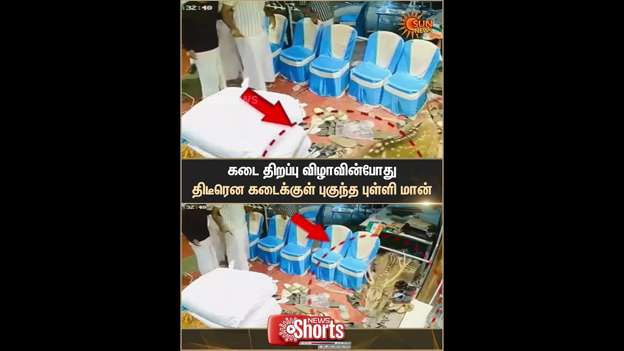 Shop Opening Ceremony | Deer Suddenly Entered | Kattumannarkoil | Sun News