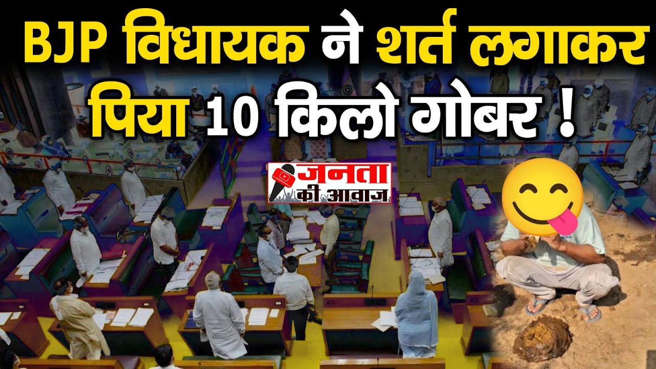 हरियाणा के BJP विधायक ने शर्त लगाकर पिया  10 किलो गोबर !