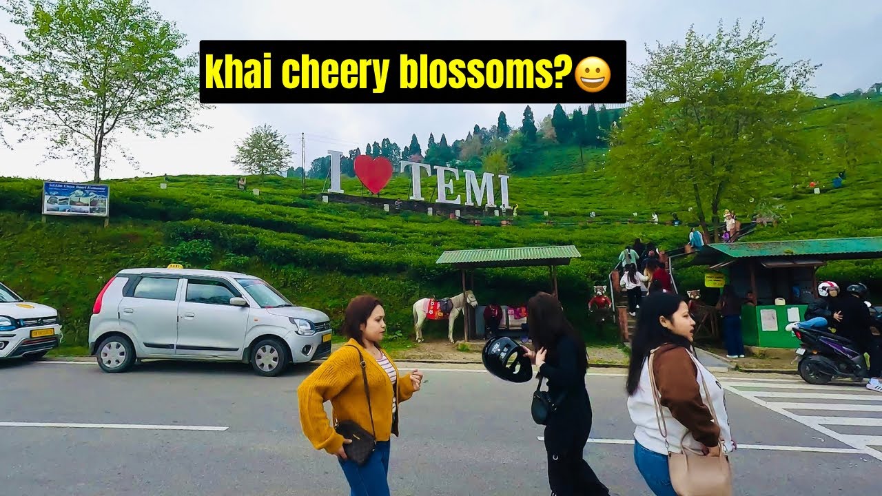 Temi Ko Cherry Blossoms Le Dhoka Diyo||Moto Vlog||RJ Sagar