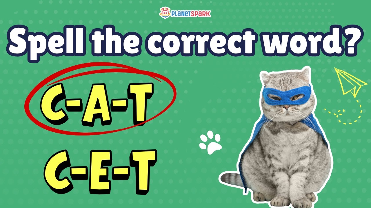 Spell It Right Challenge | KG to Grade 3 English Learning