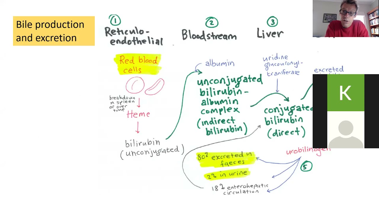 Weekly Paediatric Teaching 2021 30 Jaundice and Liver disease in children September 20