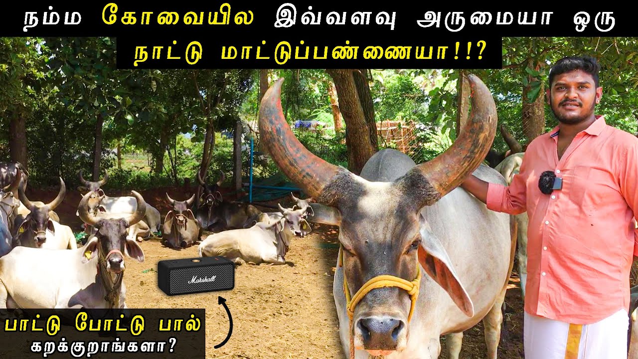 👌❤️🐄இவ்வளவு அருமையா ஒரு நாட்டு மாட்டுப்பண்ணையா?சானத்திலிருந்து இப்படி எல்லா பொருட்கள் செய்யுறாங்களா?