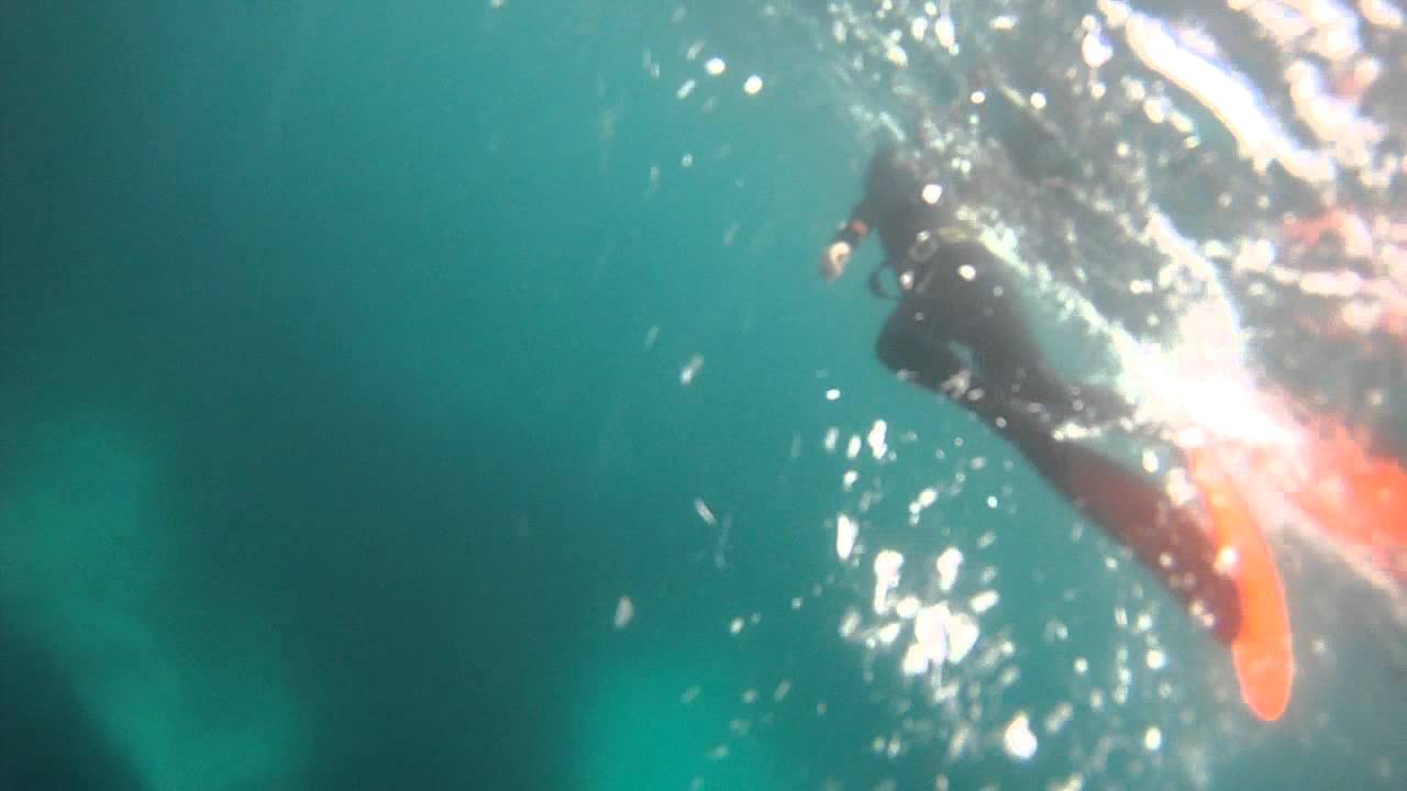 Free diving chile Carolina Buceadora