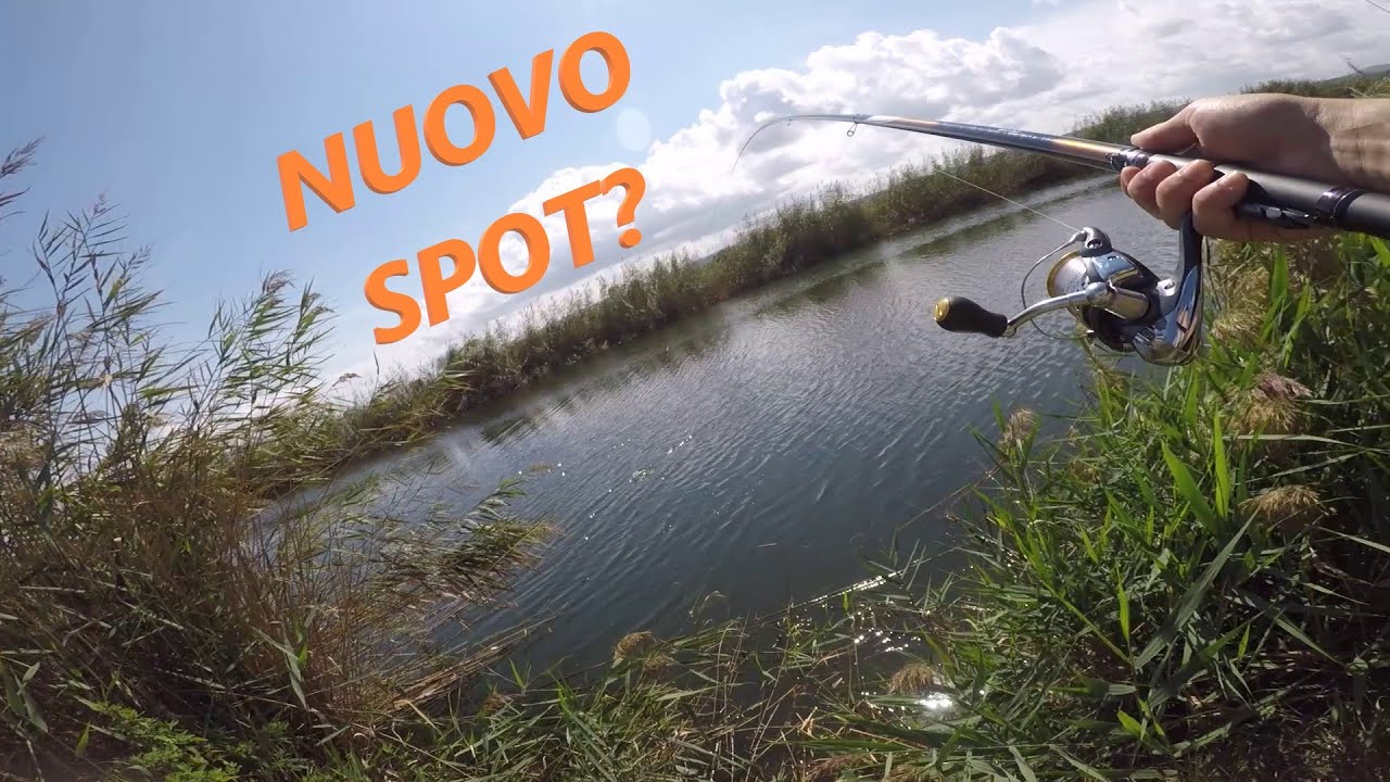 Battaglie in un  Nuovo Spot - Pesca a Bolognese e  Bigattino in Spot Difficile