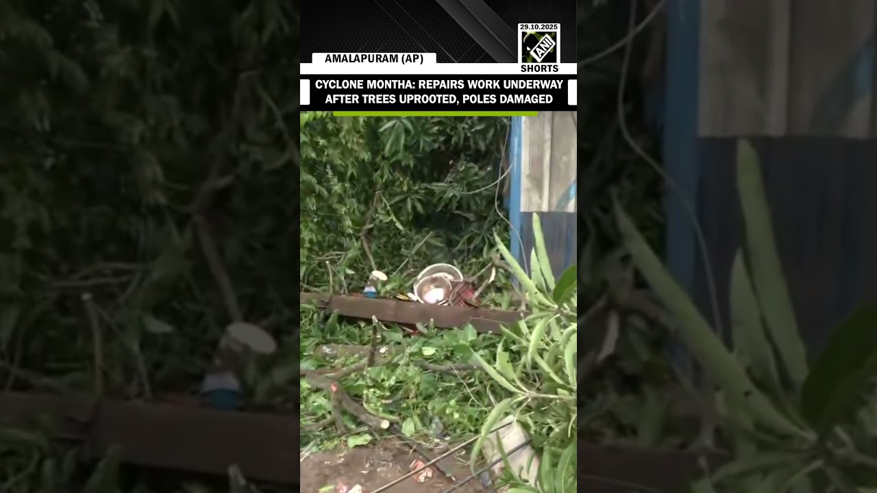 AP: Repairs work underway after Cyclone Montha uprooted trees and damaged electric poles