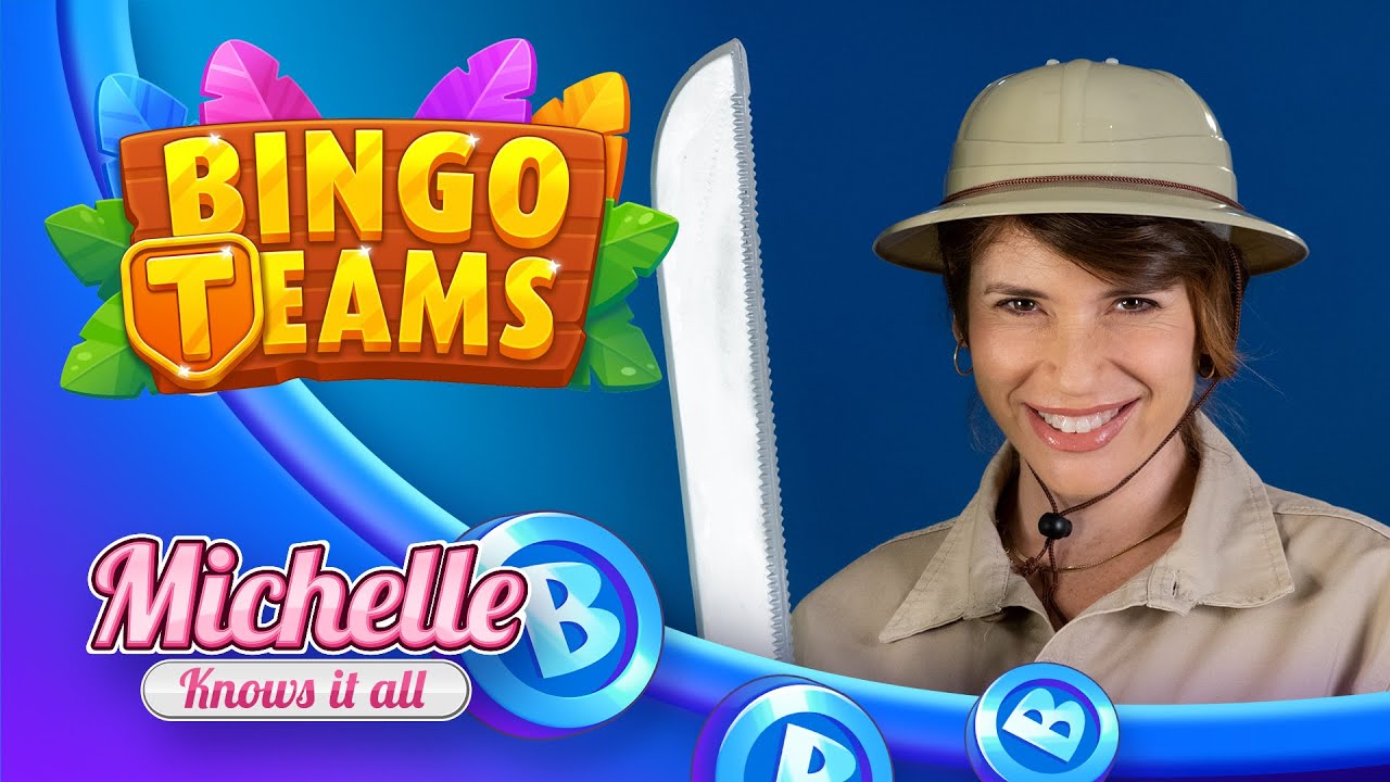 The All New Bingo Teams Adventure!