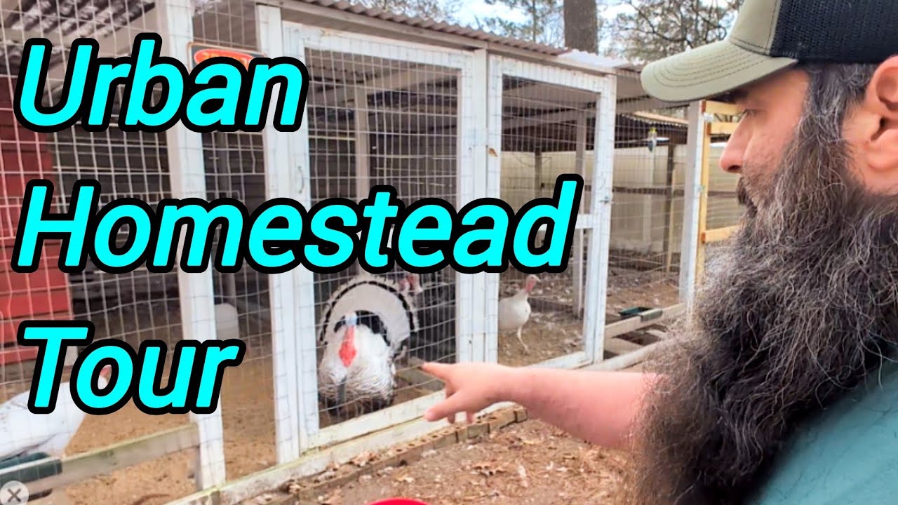 A Walk Around the Homestead - Growing Roots - Ep. 4