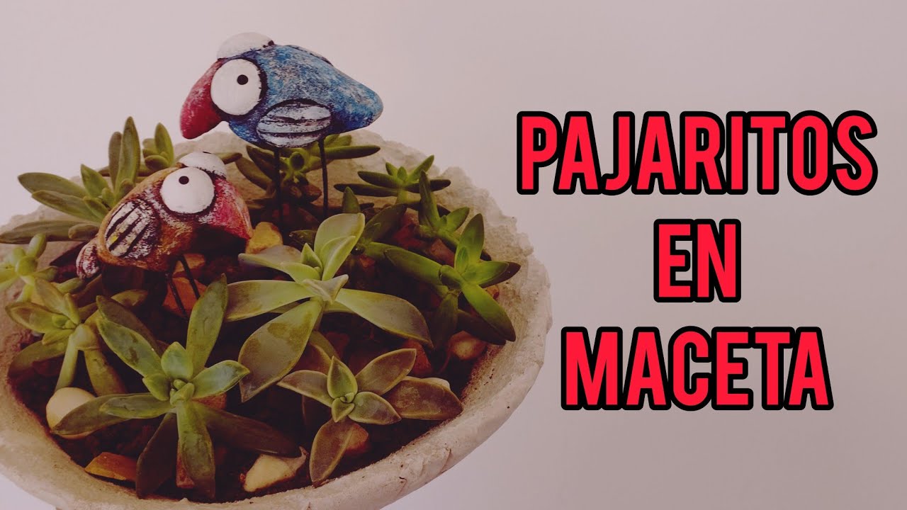 Increíble Maceta de Cemento, Decorada Con Masa de Yeso Modelable! 