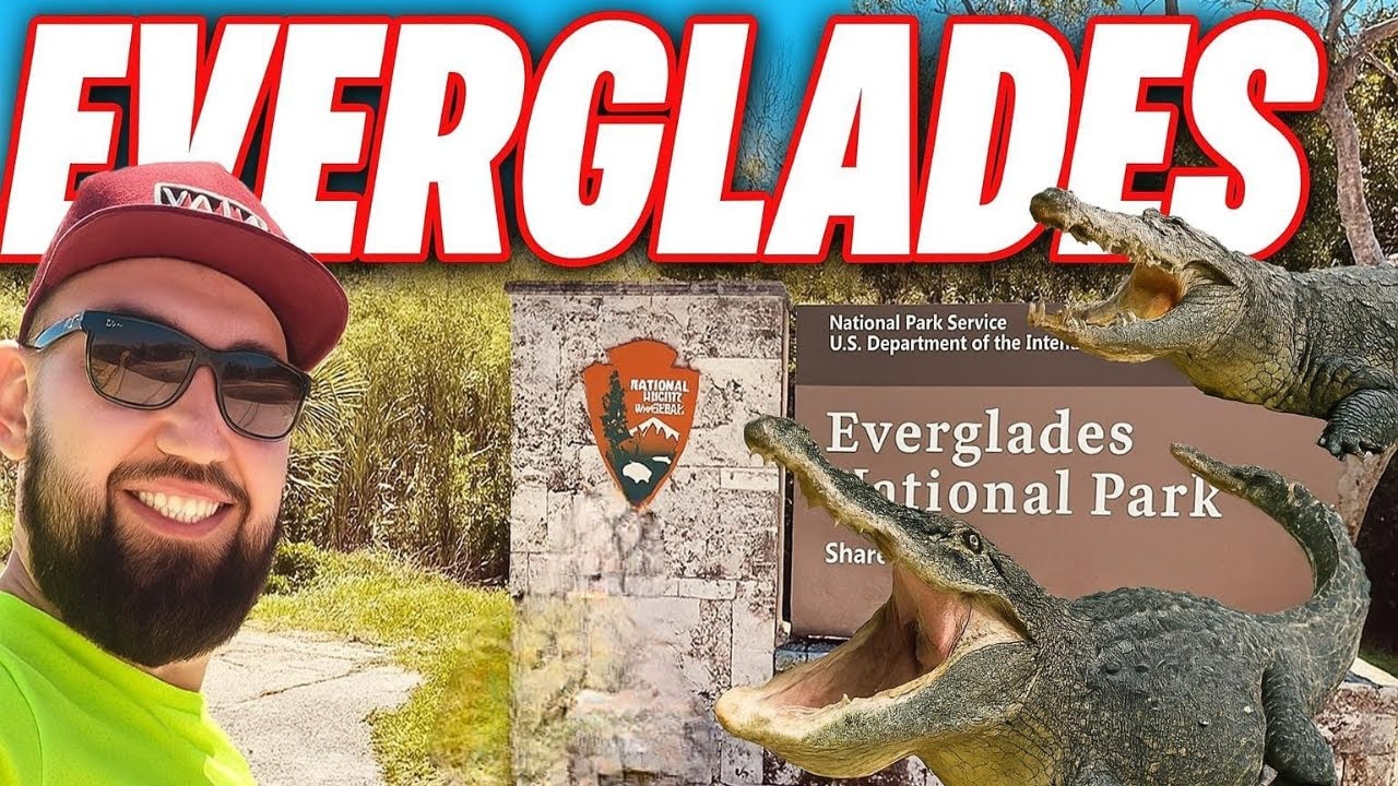 EVERGLADES – Spotkanie z Aligatorami! 🐊Czy To Bezpieczne?  Dzika Floryda z Bliska