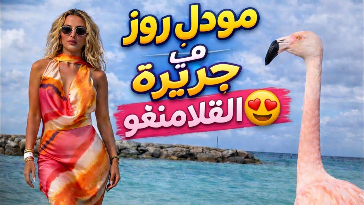 يوميات - مودل روز في جزيرة الفلامنغو وفقرة صيد السمك