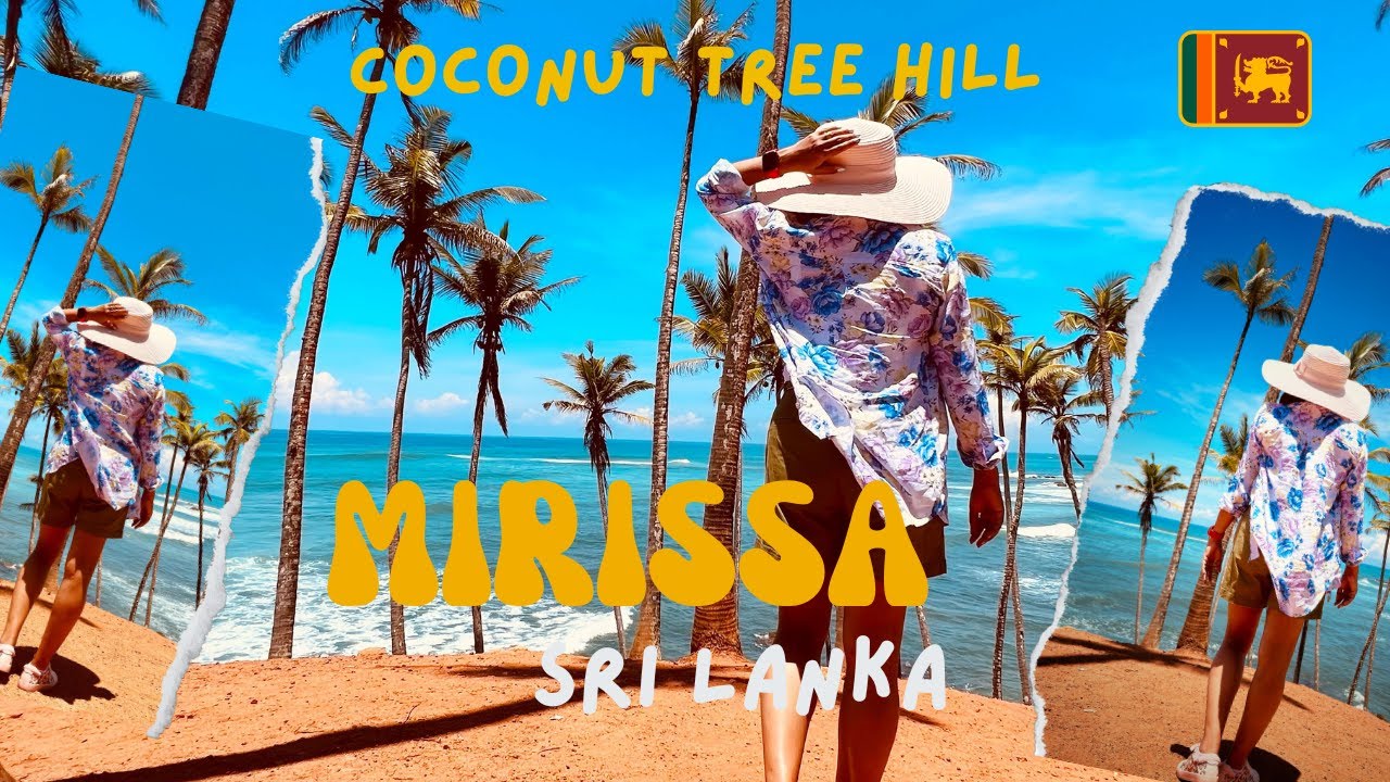 Coconut Tree Hill | Mirissa | Sri Lanka | 🇱🇰 | Travel Sri Lanka | Things to see and do in Mirissa