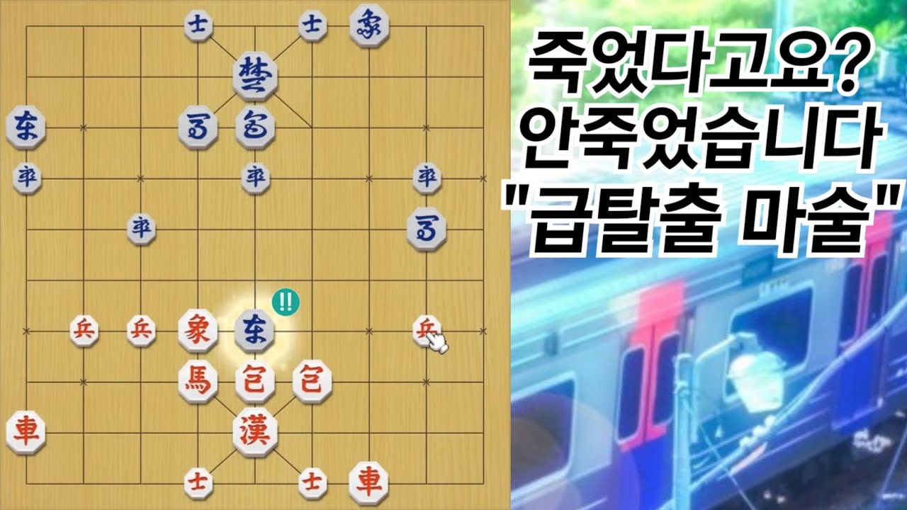 수읽기하다 휘둥그레... 볼수록 신기로운 급장기 마술