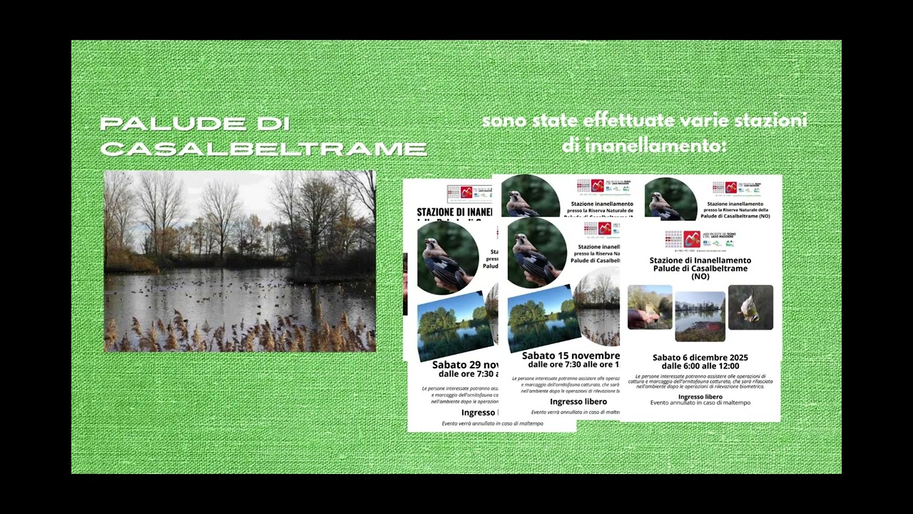 🎇🌲🦋UN 2025 RICCO DI EMOZIONI E TANTE INIZIATIVE 🦋🌲🎇
