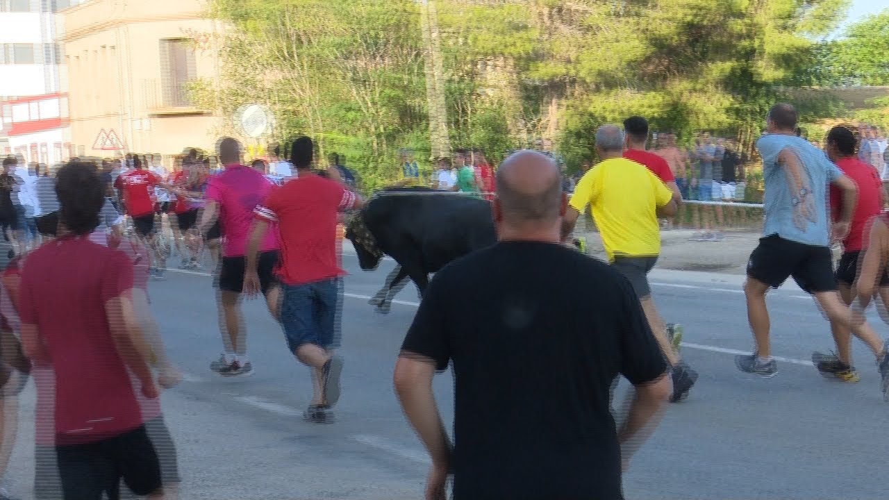 Festes Majors de l'Aldea 2018: Bou caplla&ccedil;at