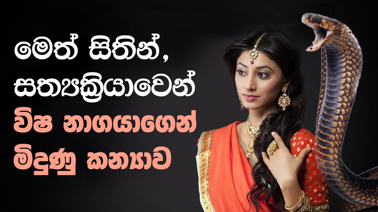 මෙත් සිතින්, සත්‍යක්‍රියාවෙන් විෂ නාගයාගෙන් මිදුණු කන්‍යාව | Shraddha TV