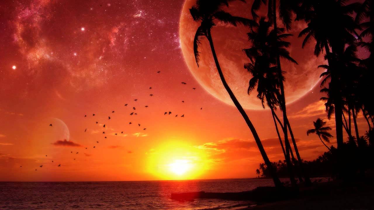 Tillmann & Ries - Bassfly (Moogwai Remix) [2000]