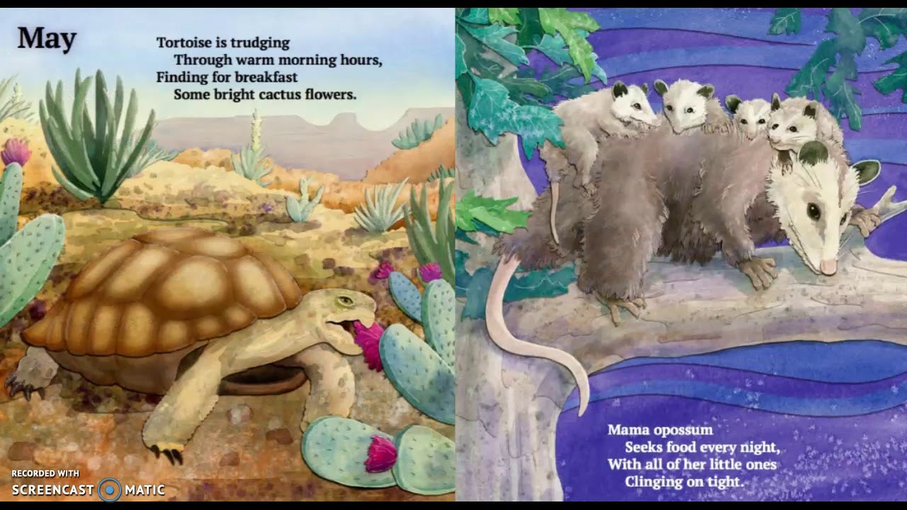 Daytime Nighttime Animals