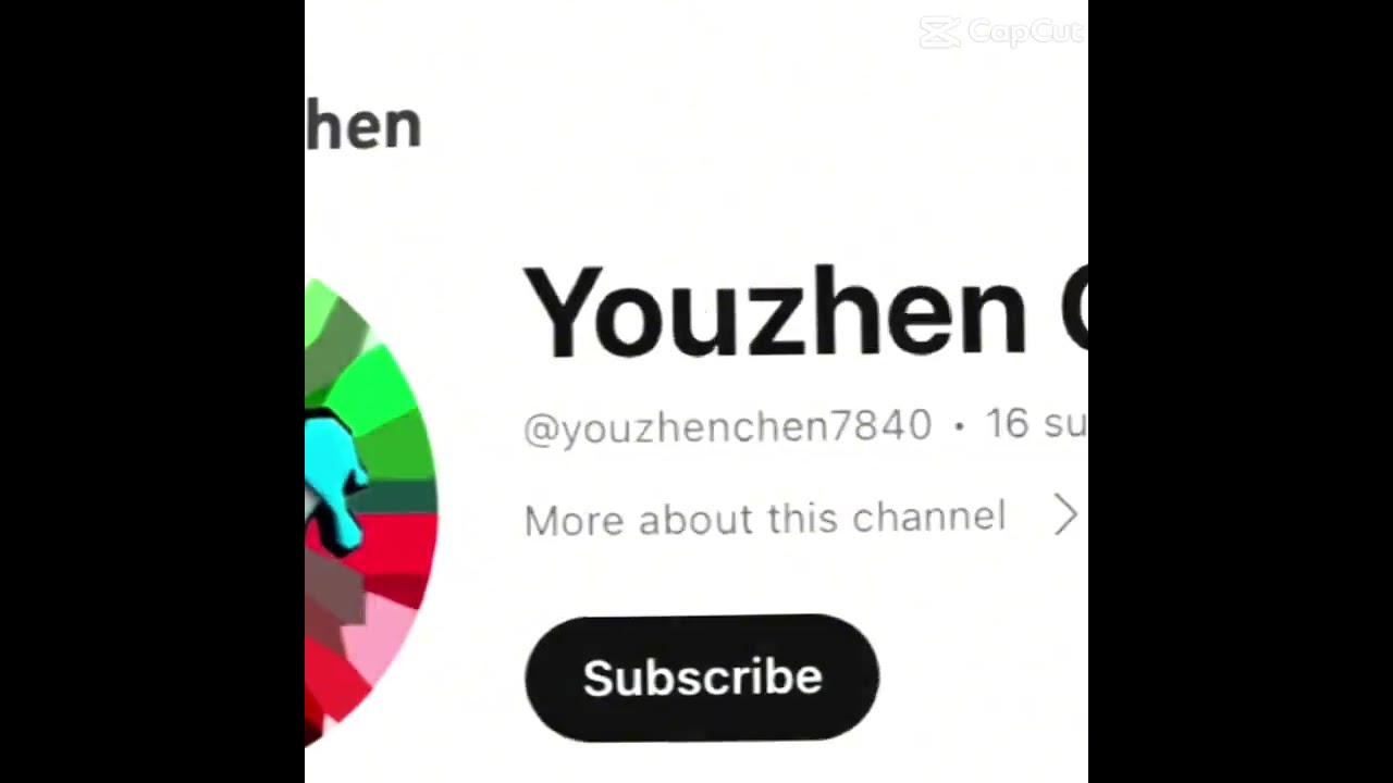 Gift for youzhen