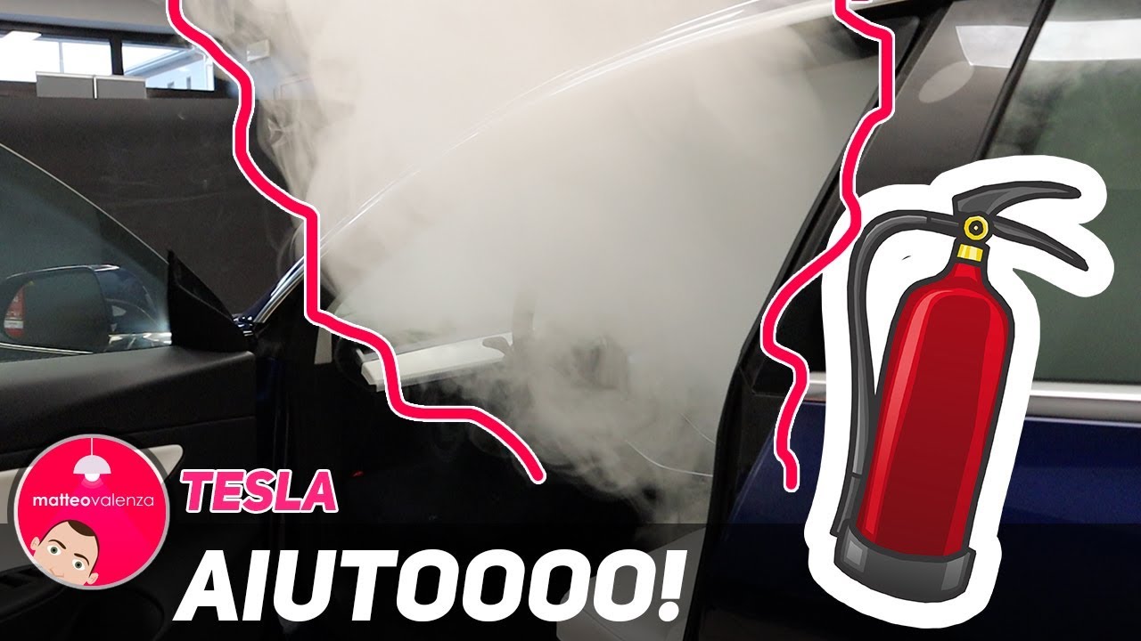 Prenditi cura della tua auto tesla e non 😍, sedili in pelle bianca ? no problem! 😎