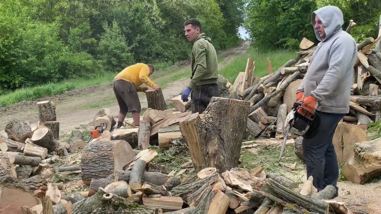 No Mistakes Allowed: Professional Chainsaw Work with Stihl