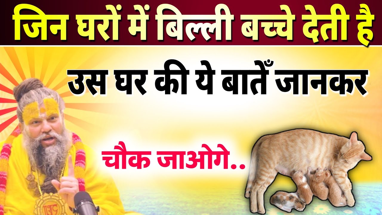 अगर आपके घर में बिल्ली बच्चे देती है तो सावधान हो जाओ – ये सामान्य बात नहीं premanand maharaj 
