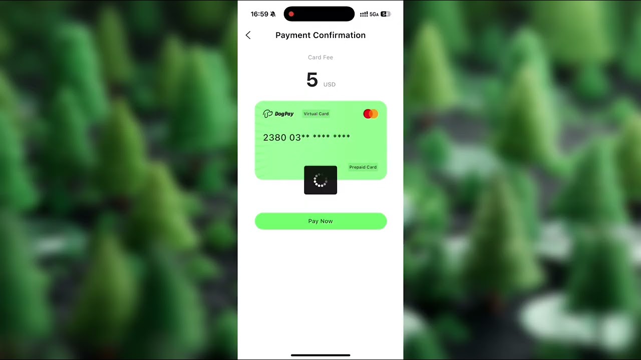 DogPay Stored-Value Card Tutorial | One Card for Global Payments