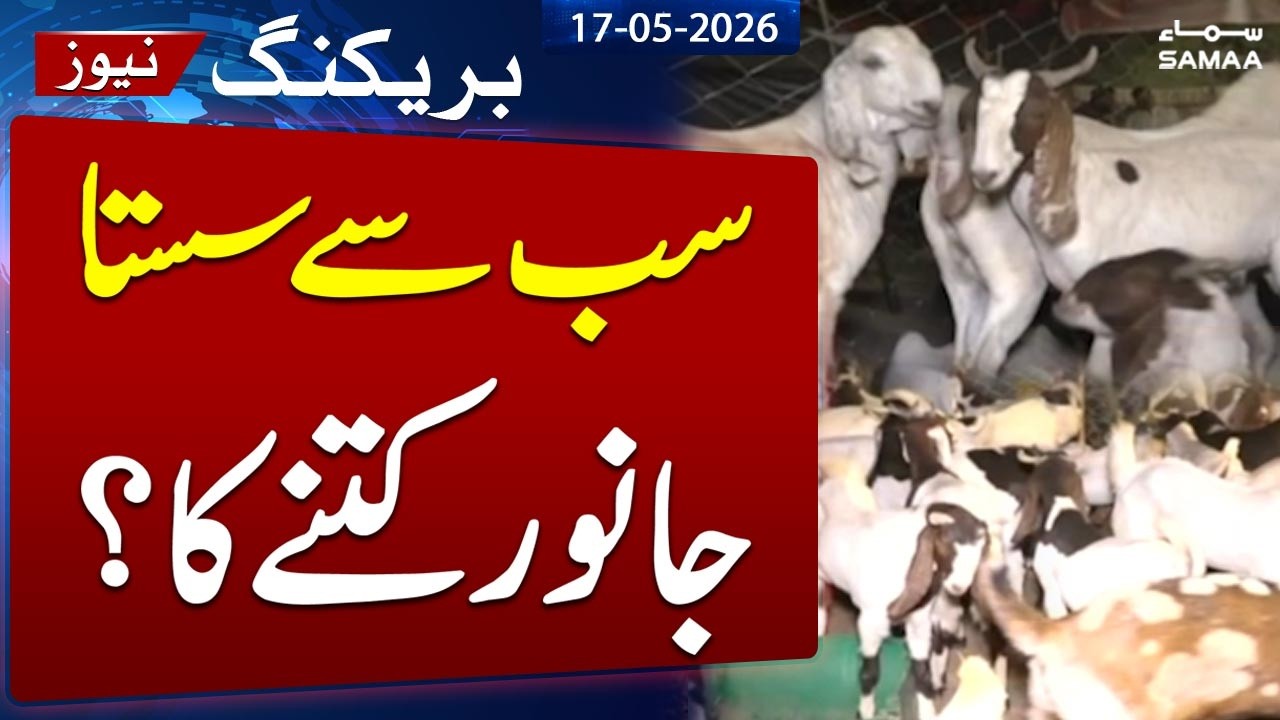 Eid ul Adha 2026 Celebrations | Cheapest Qurbani Price in Pakistan | Full Market Update | SAMAA TV