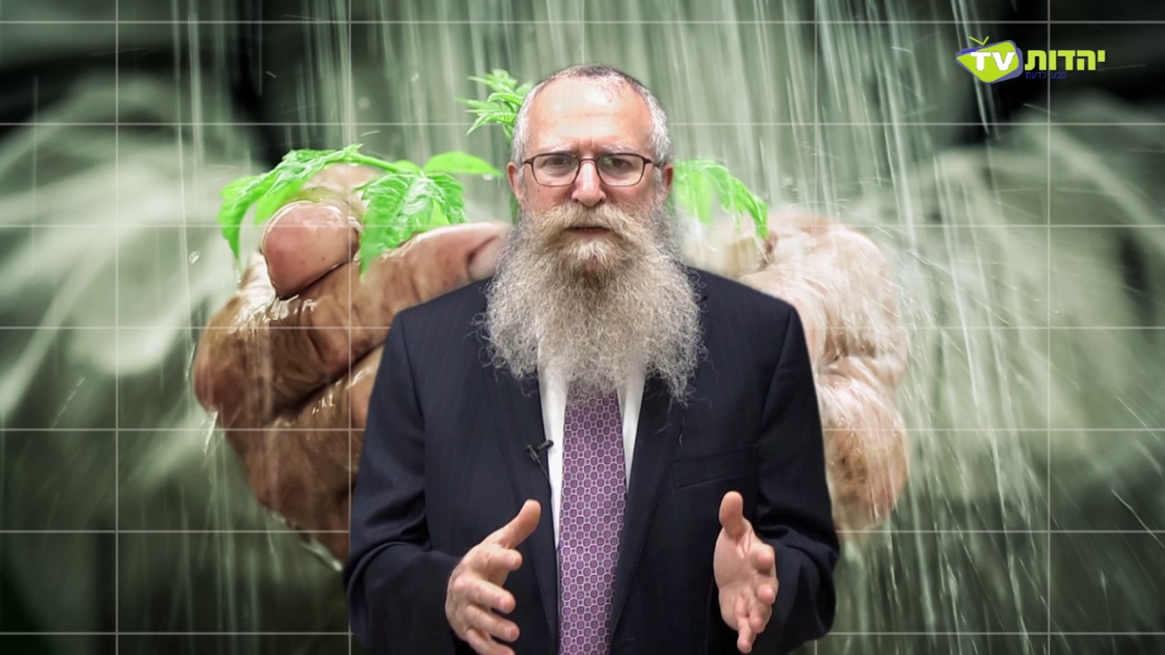 שפע גשמי - מנחם ברוד