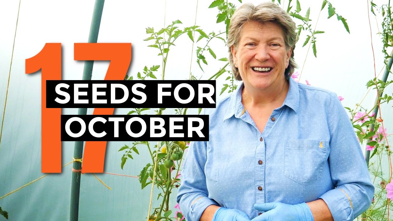 What to sow in October | Veggie seeds for October | Self-sufficient vegetable garden