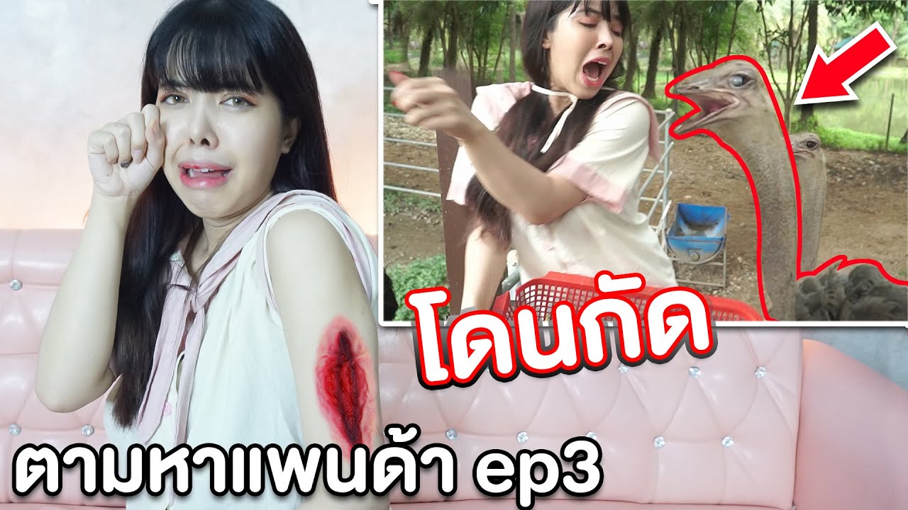 ตามหาหมาหาย โดนนกยักษ์กัด !!