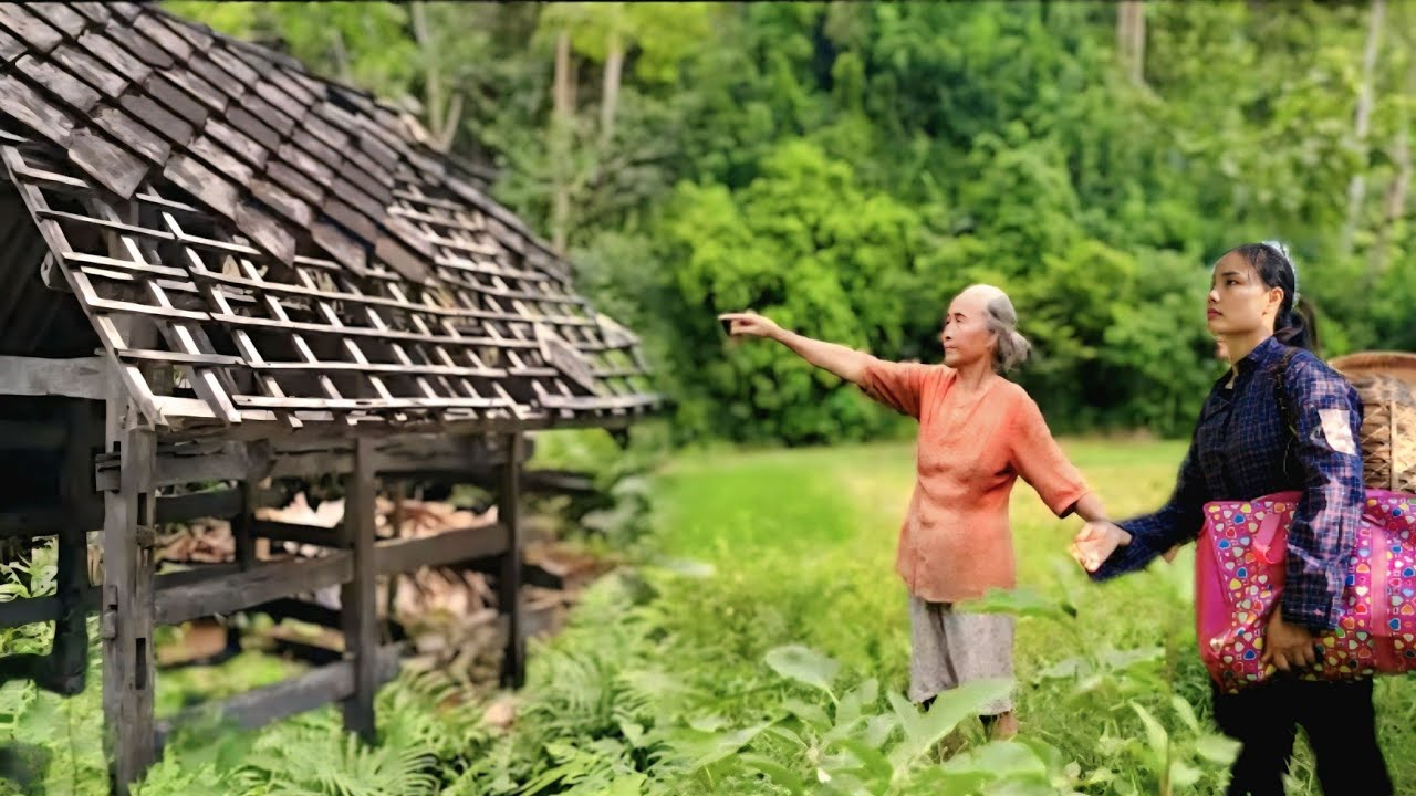 280 Days: CEO Returns to Farm to Find Poor Girl and Kind Old Lady Gives Her House