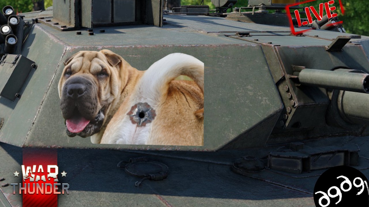 СВЕРЛИМ ДЫРДОЧКИ В ТАНКАХ в War Thunder / СТРИМ