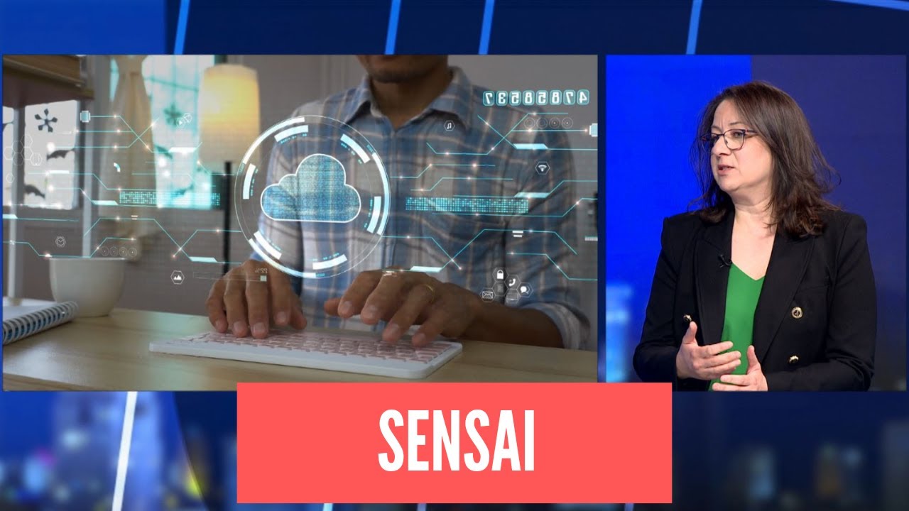 Interview with CEO and founder of AI Israeli startup ‘Sensai’