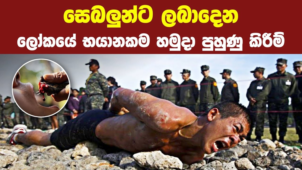 ලොව භයානකම හමුදා පුහුණු කිරීම් 08ක් | 08 Craziest Military Training Exercises