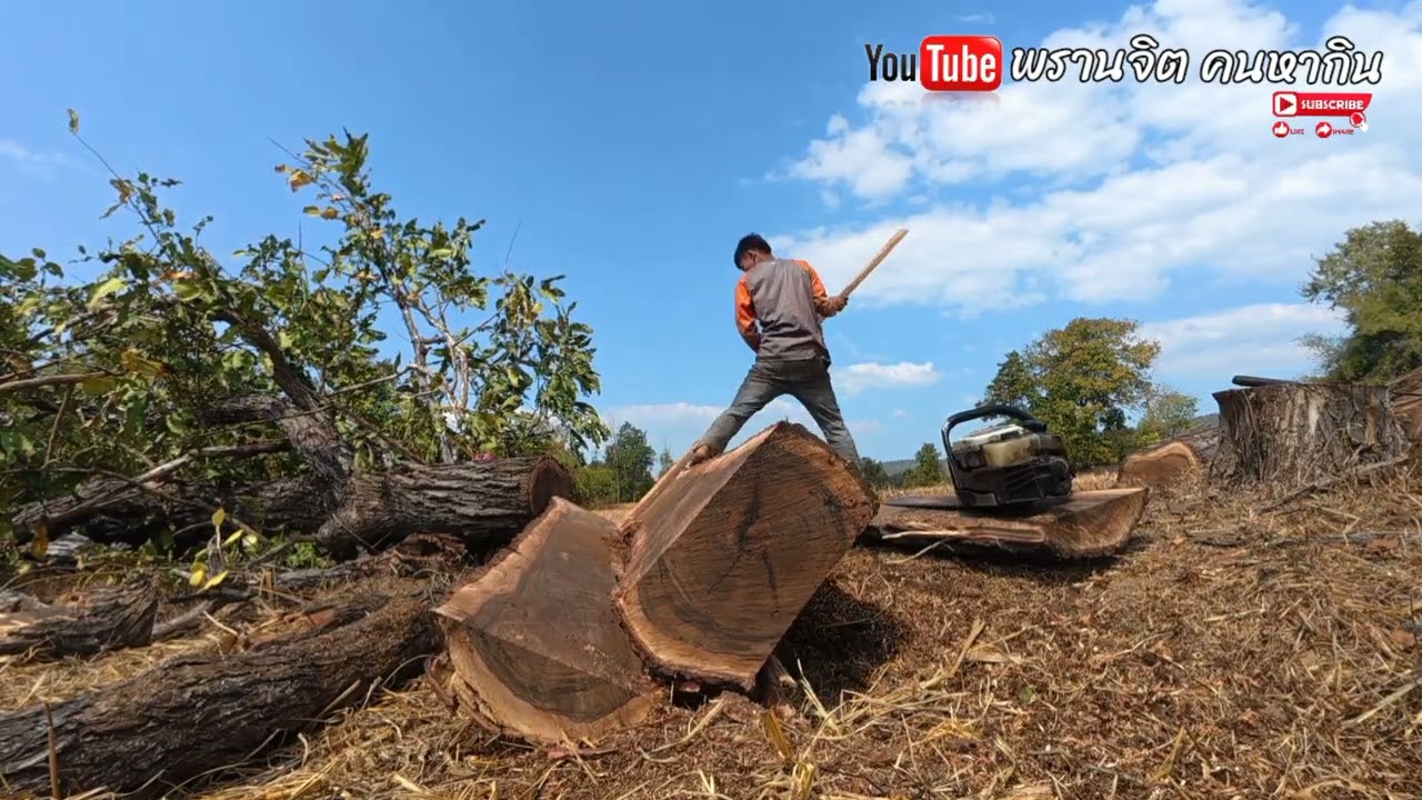 ปาดไม้เสาเฮือน//พรานจิต คนหากิน//