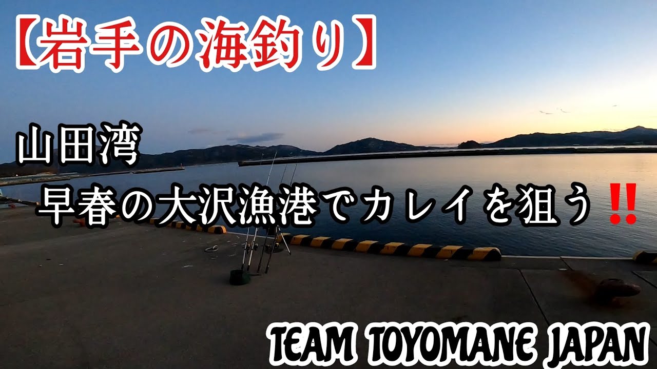 【岩手の海釣り】山田湾   早春の大沢漁港でカレイを狙う‼️