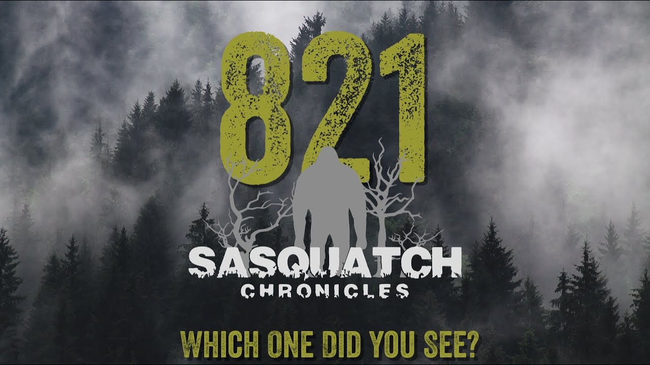 SC EP:821 Какой из них вы видели?